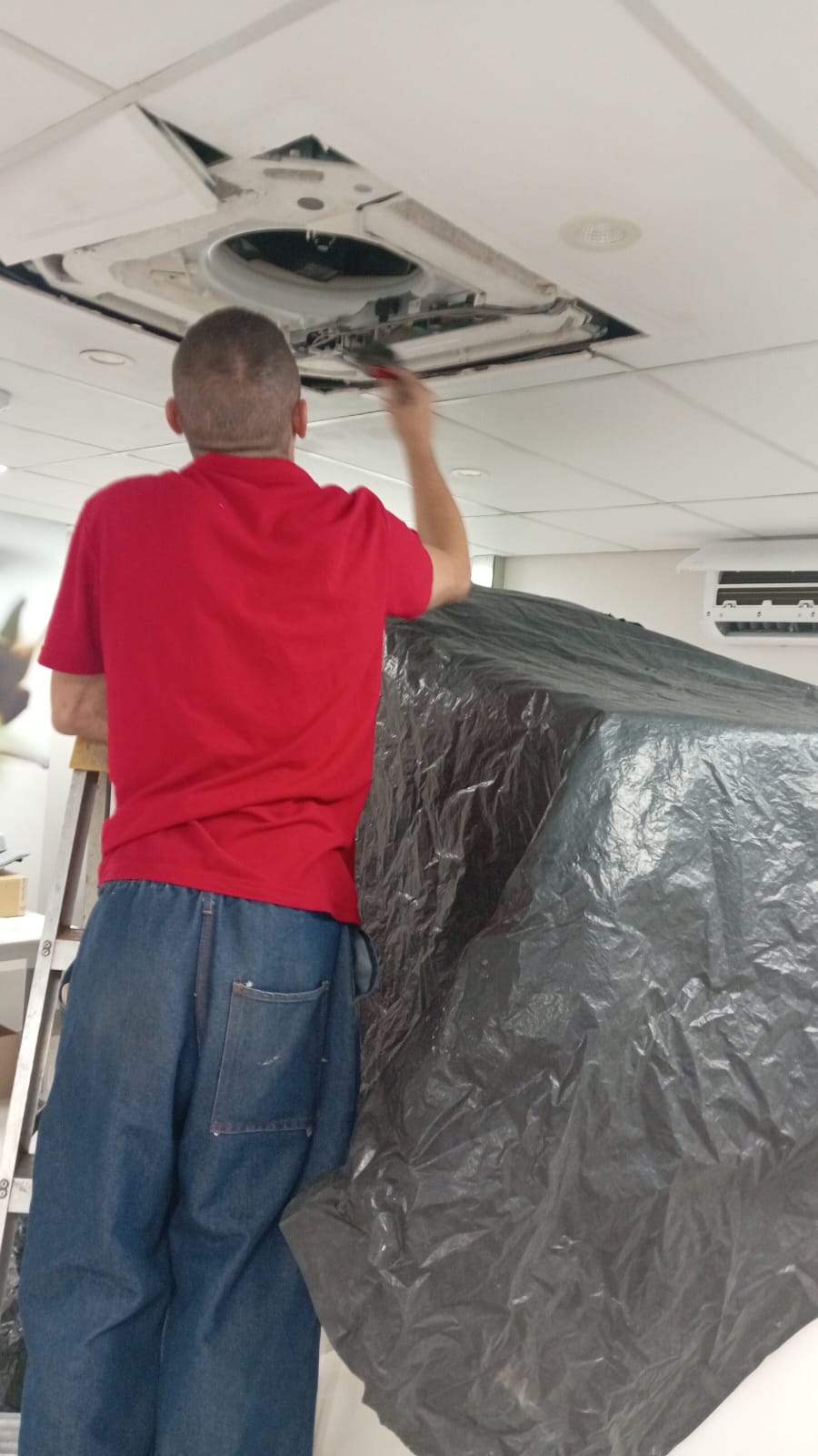 Painting project 6